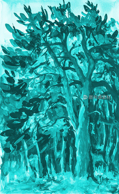 插画油画风景松林在其他树木的蓝天下的射线