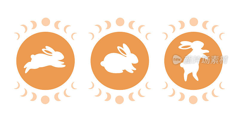 可爱的白兔兔摆出不同的姿势，带有占星元素。魔术师的兔子。兔年。手绘矢量插图