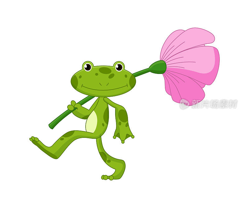 有趣的卡通青蛙。小两栖动物出现在白色背景上。可爱的青蛙肩上扛着花
