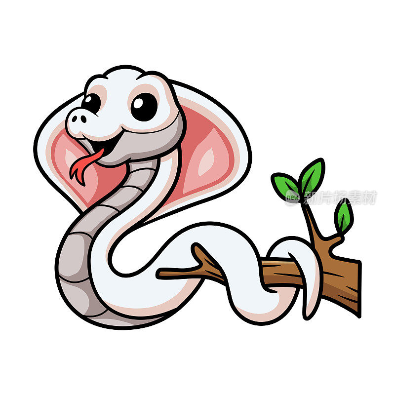 可爱的亮色眼镜蛇蛇卡通在树枝上