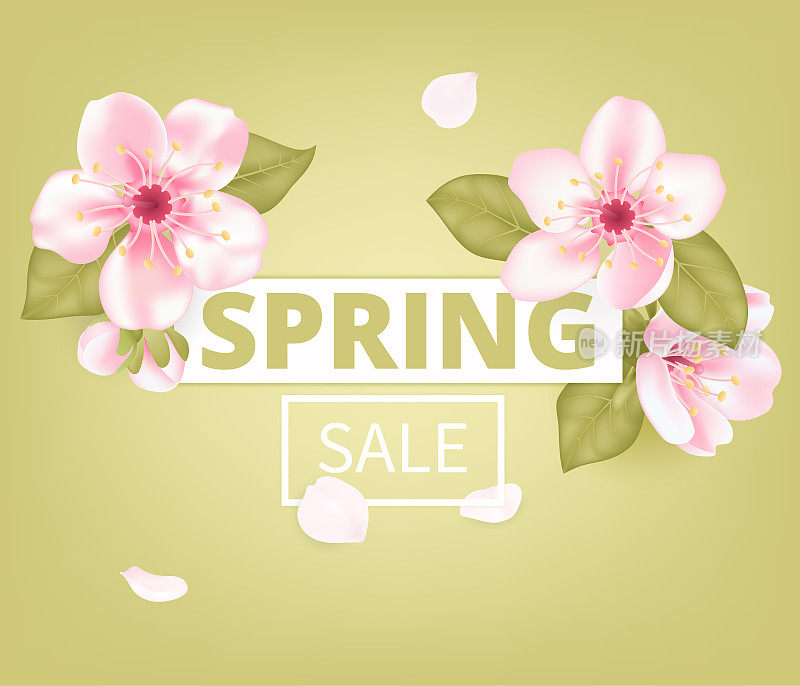 春季销售横幅模板与鲜花盛开。樱花粉红色的花朵，春天盛开的樱花贺卡上的绿色背景