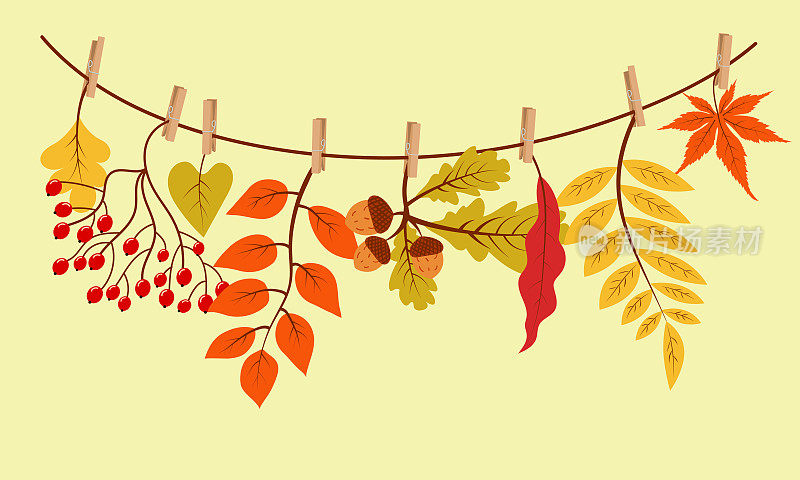 秋天的礼物挂在绳子上，用衣夹夹住。