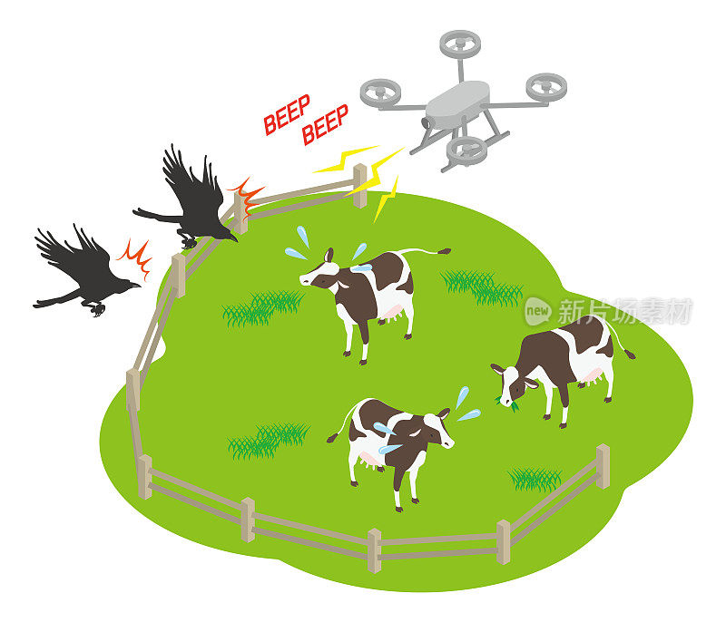 一种保护牧场上的牲畜(奶牛)不受乌鸦伤害的无人机