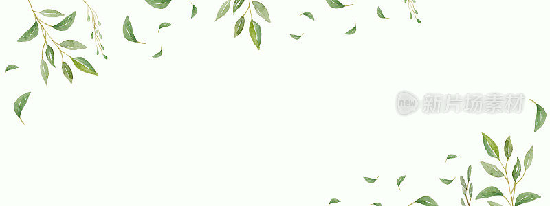 草药极简主义和现代矢量横幅与文本的自由空间。手绘植物，树枝，树叶在白色背景上。草木婚礼简单横模板。