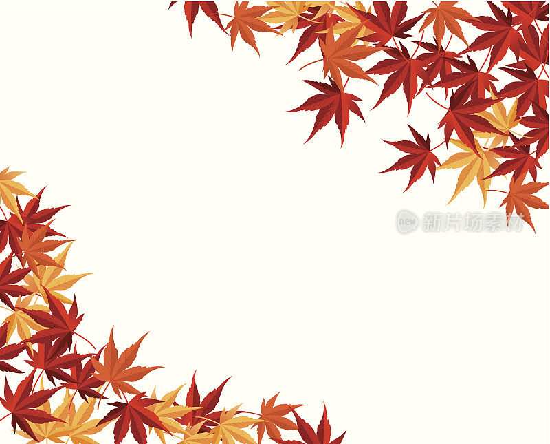 五彩缤纷的秋天，枫叶的矢量