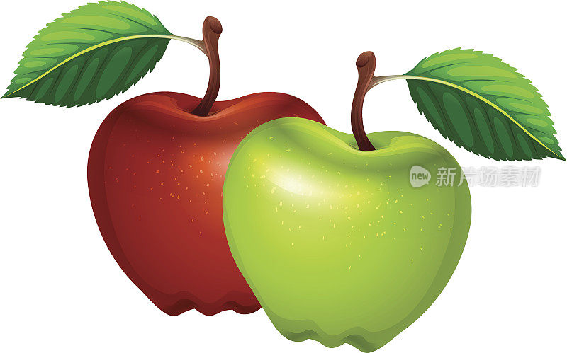 新鲜的绿色和红色的苹果