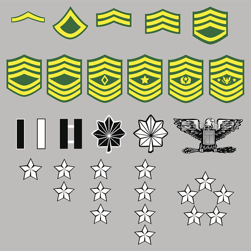美国陆军军衔徽章