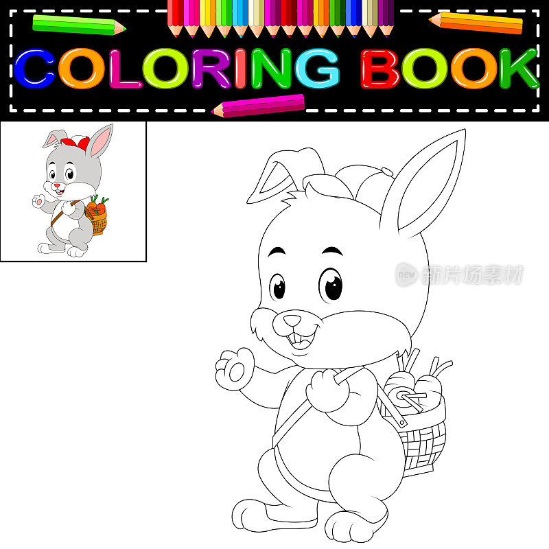 兔子彩色书