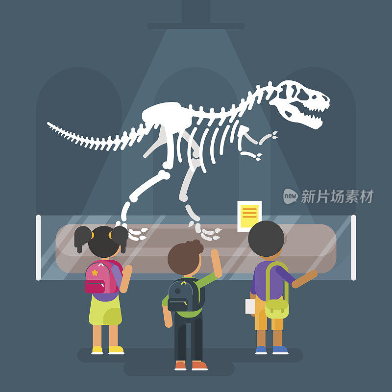 博物馆里的恐龙骨架