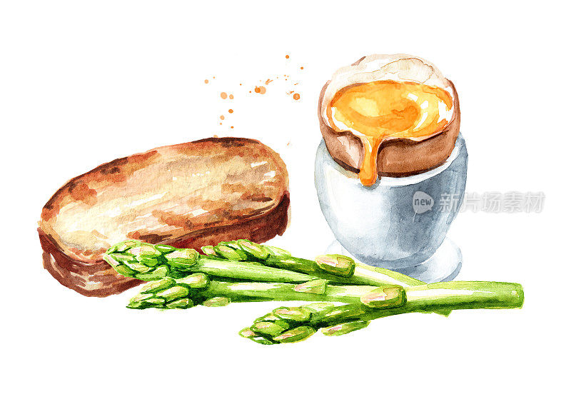 早餐是棕色的煮鸡蛋，配吐司和新鲜芦笋。手绘水彩插图孤立的白色背景