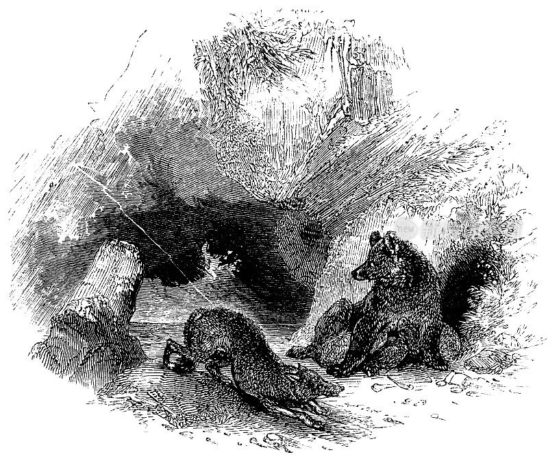 熊和狼在暴风雨中避难-威廉·莎士比亚的作品