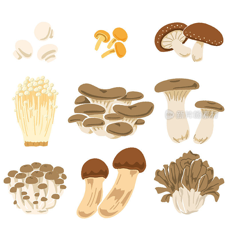 九种蘑菇的插图