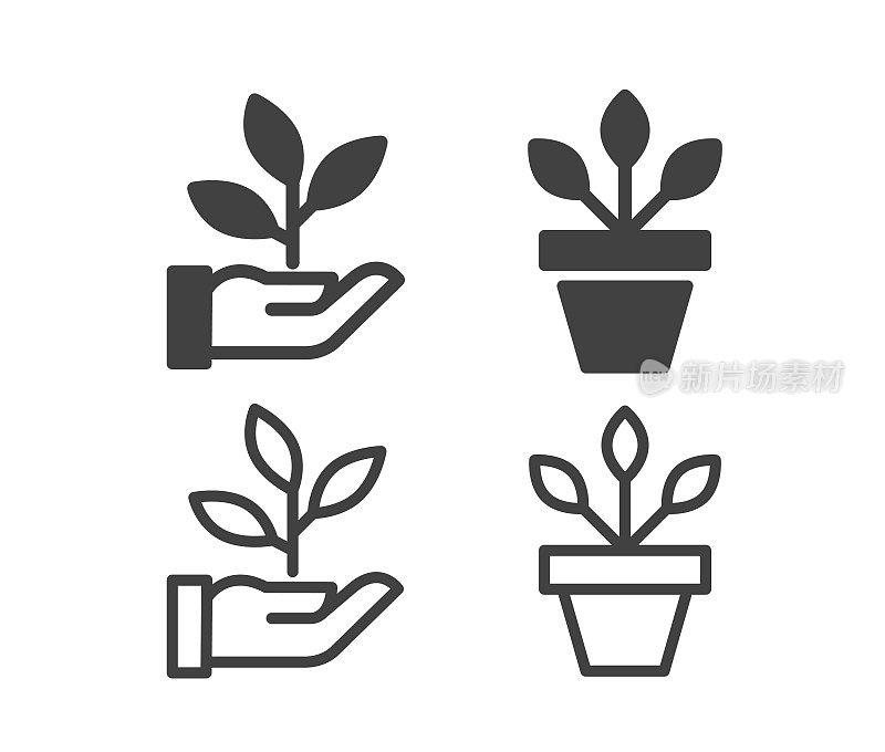 植物-插图图标
