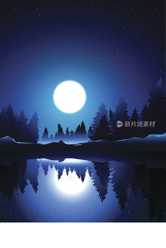 在夜晚和月亮湖附近的松木