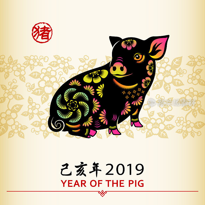 农历新年猪