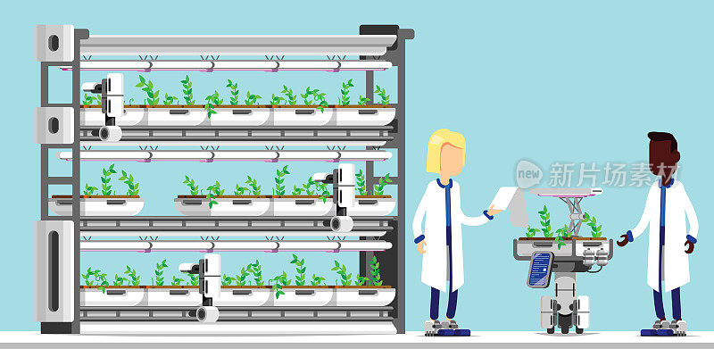 致力于水培和可持续农业的先进技术和机器人的科学家