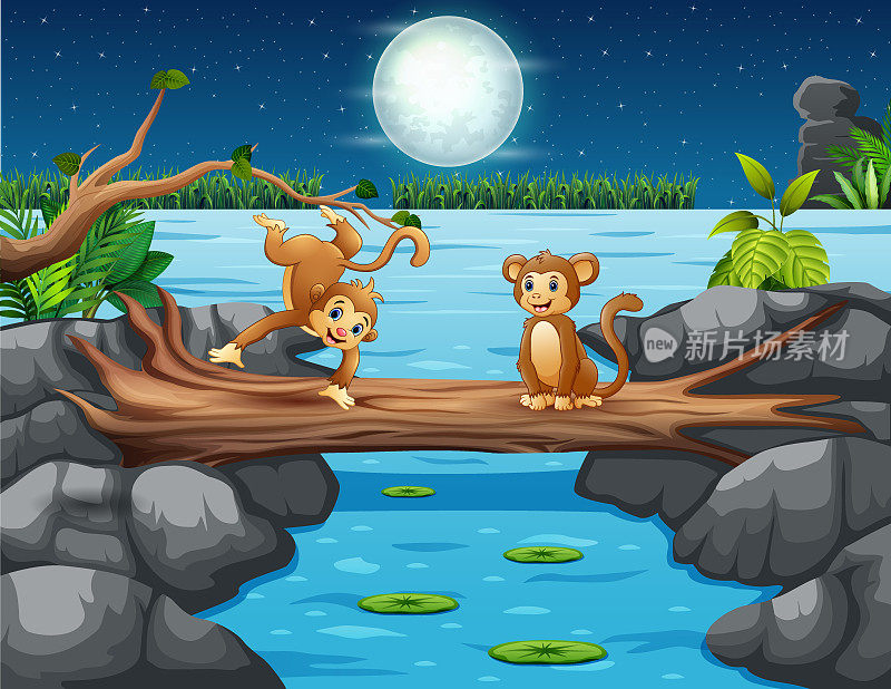 有趣的猴子在木桥上的夜景