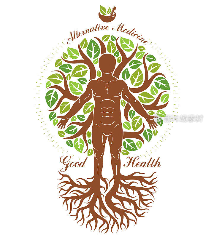 矢量图形说明，强壮的男性描绘为树的延续和组成的臼和杵。植物疗法的隐喻，健康生活方式的概念。