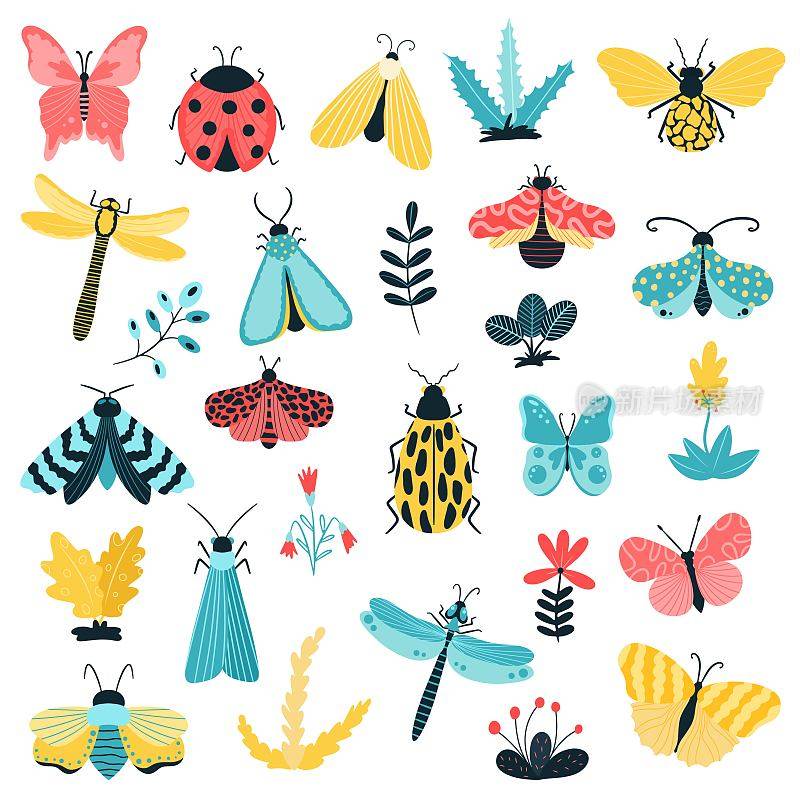 手绘蝴蝶、昆虫和花朵。飞蛾的翅膀和春天五颜六色的飞虫和甲虫。白色背景上的矢量。