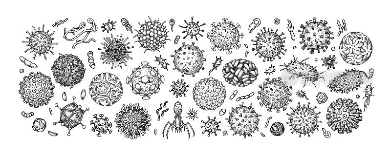 在白色背景上雕刻病毒和细菌。不同类型的微观微生物。矢量插图素描风格