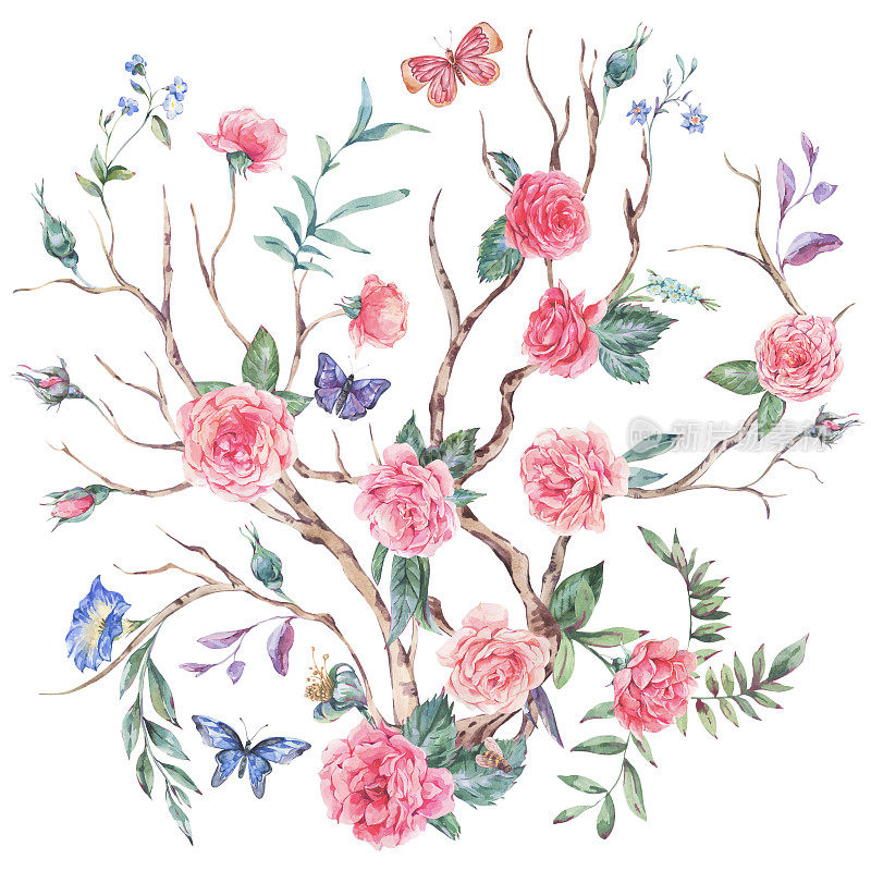 水彩画花园玫瑰花束，盛开的树，中国风插图孤立在白色
