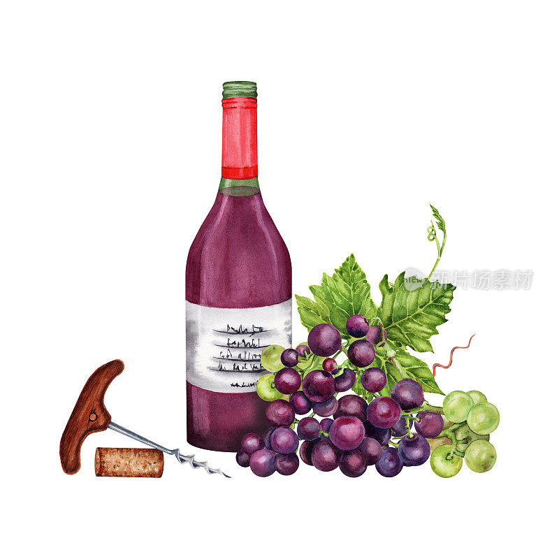 一瓶红酒配葡萄，开瓶器和葡萄酒软木塞。手绘水彩插图