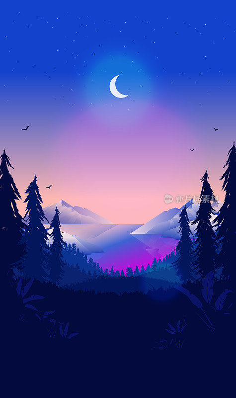 垂直夜间自然背景与月亮和星星