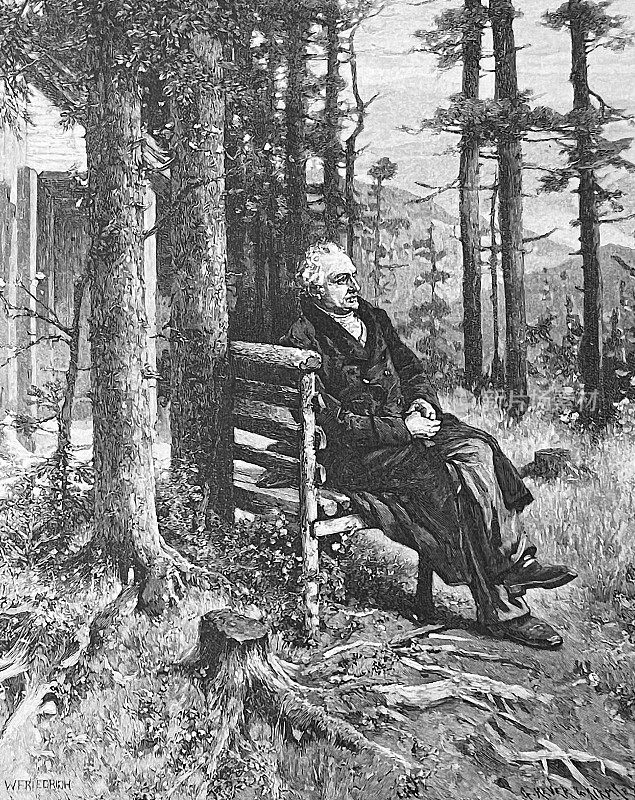 森林里一片宁静:人们正坐在森林里的长凳上思考