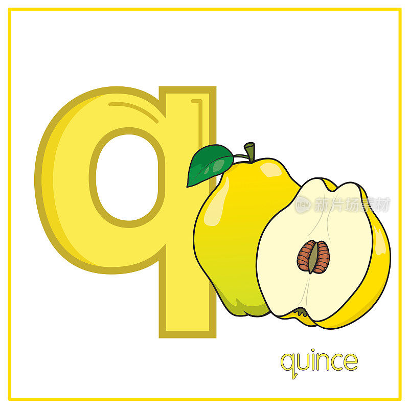 矢量图例昆斯与字母Q小写字母学习练习儿童ABC