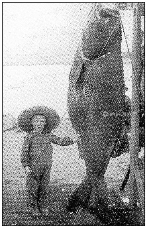 古色古香的加州旅行照片:孩子和巨大的鱼