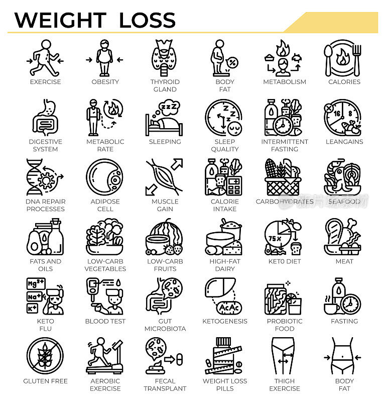 减肥和生酮饮食图标集。
