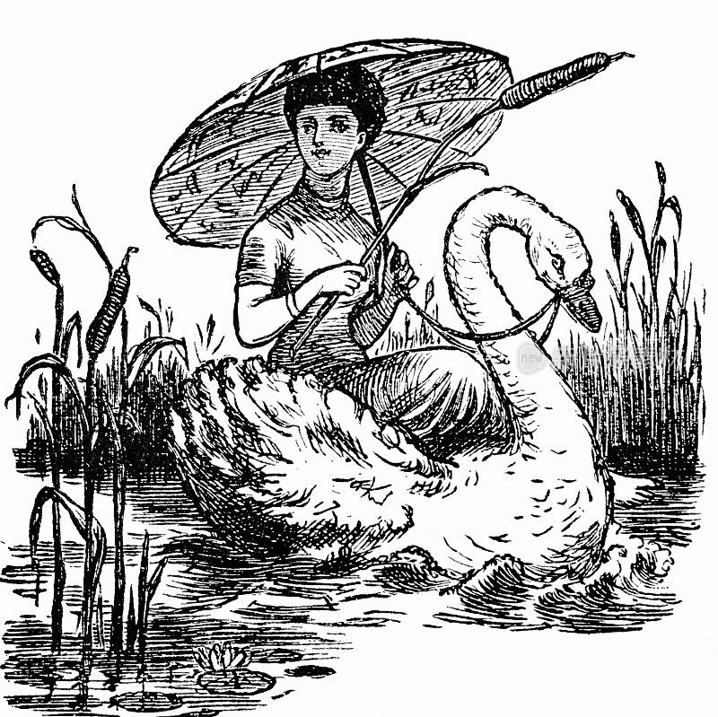 撑开伞的年轻女子骑在水中的天鹅身上