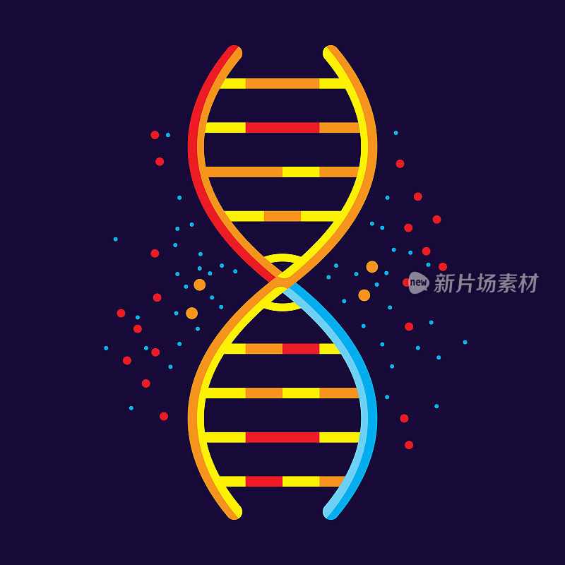 DNA链扁平型