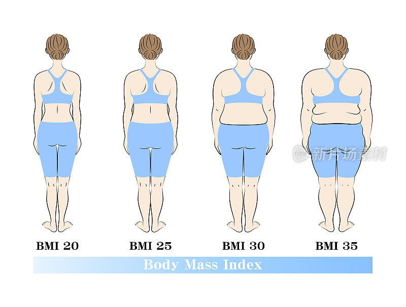 节食前后。体型随体重指数变化。女性后视图。插图。向量。