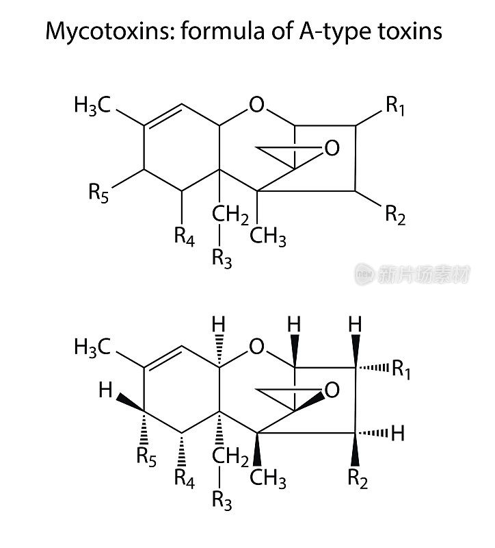 a型霉菌毒素一般结构化学公式