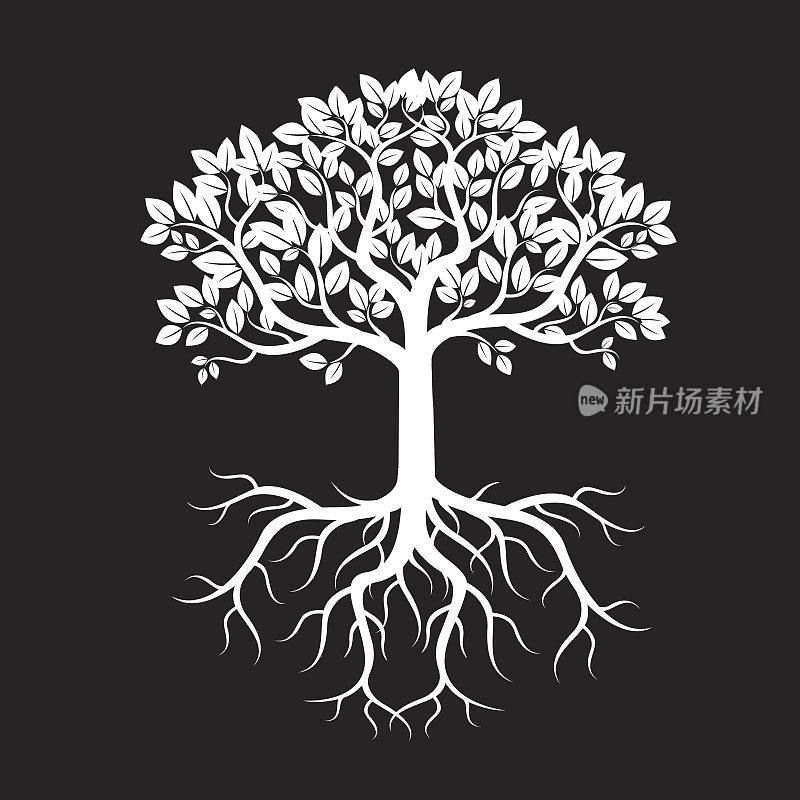 《黑树与根》矢量插图。