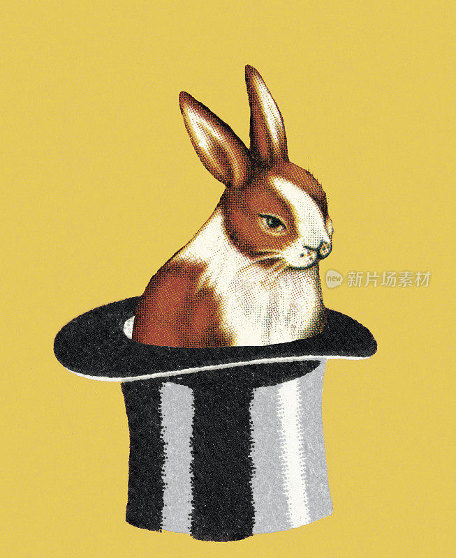 戴大礼帽的兔子