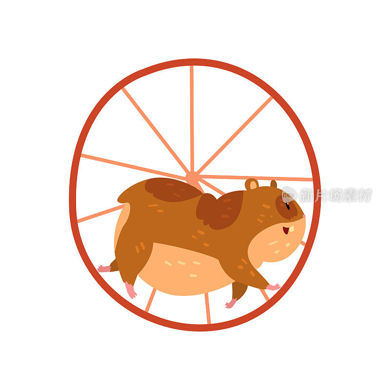 可爱的卡通仓鼠角色在轮子上奔跑，有趣的棕色啮齿动物宠物矢量插图上的白色背景