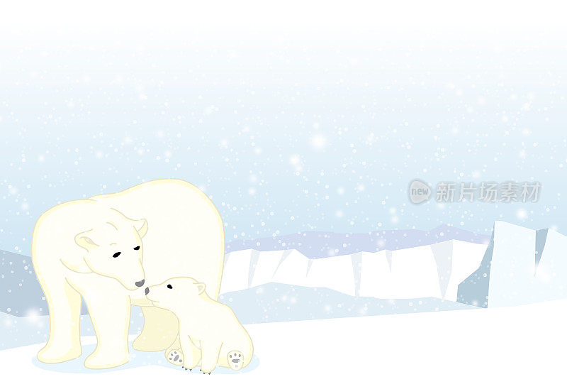 北极熊和幼崽在冰上
