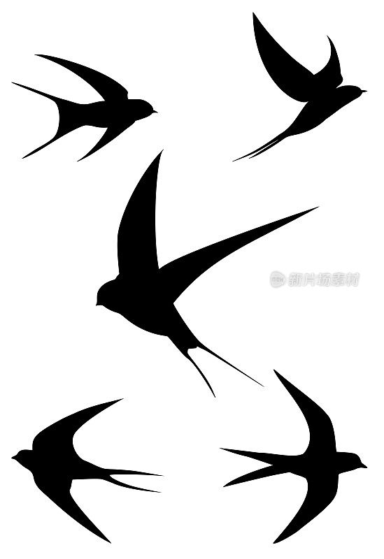 飞翔的燕子鸟剪影插图