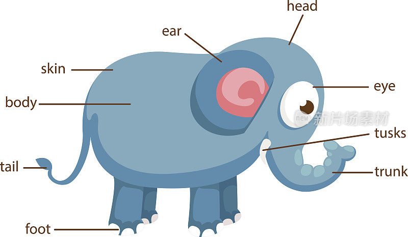 大象词汇是身体向量的一部分