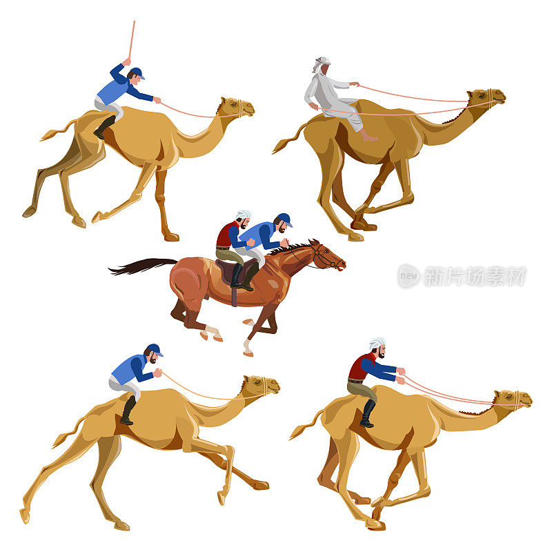 骑着骆驼奔跑