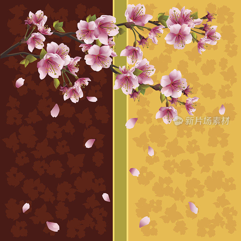 浪漫的樱花背景-日本樱桃树