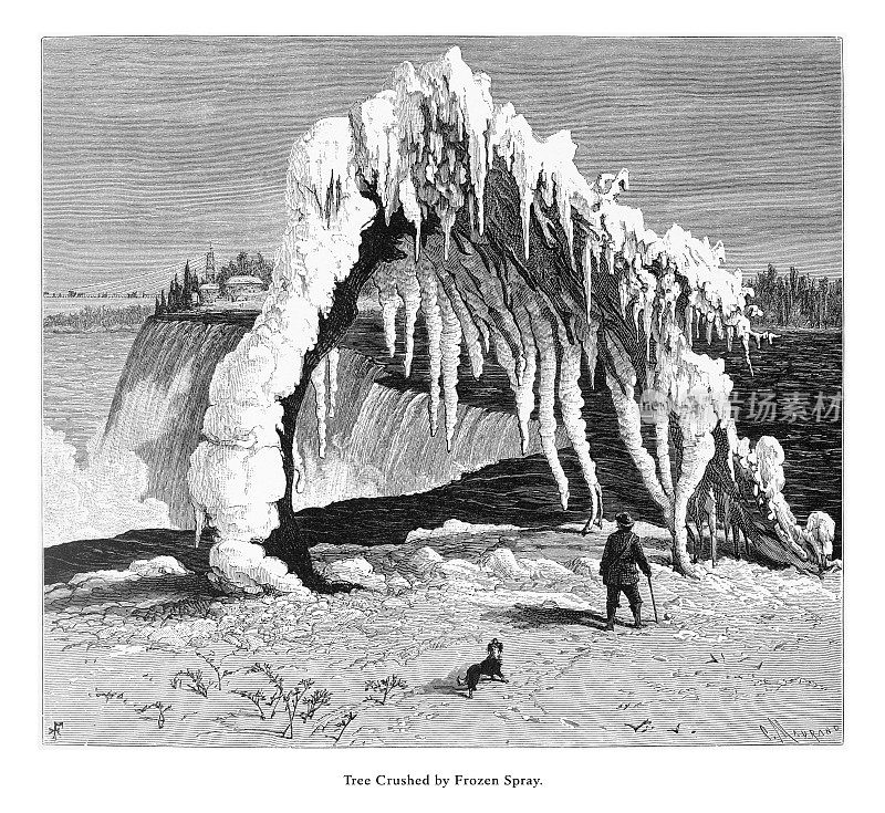 被冰冻喷雾压碎的树，尼亚加拉瀑布，纽约，尼亚加拉瀑布，安大略省，美国维多利亚版画，1872年