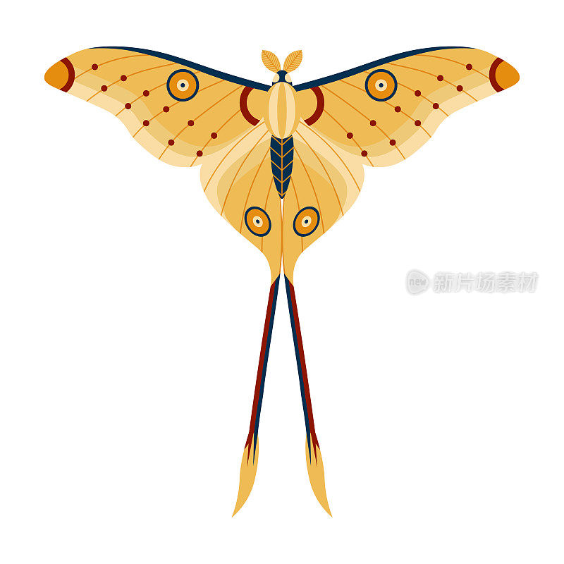 彩色热带蝴蝶蛾卡通图标