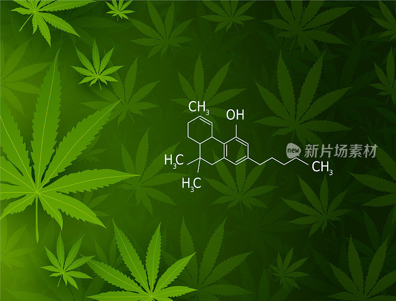 大麻叶和四氢大麻酚配方