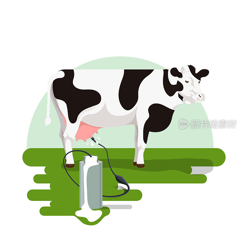 矢量插图挤奶奶牛在草和牛奶漫游出罐头