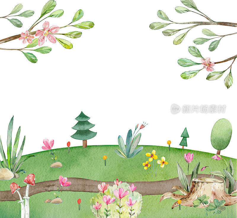 幼稚的水彩草地插图。带有地面步道、树木、森林、绿草和花、石头和蘑菇的自然夏季风景草甸。山谷林地环境