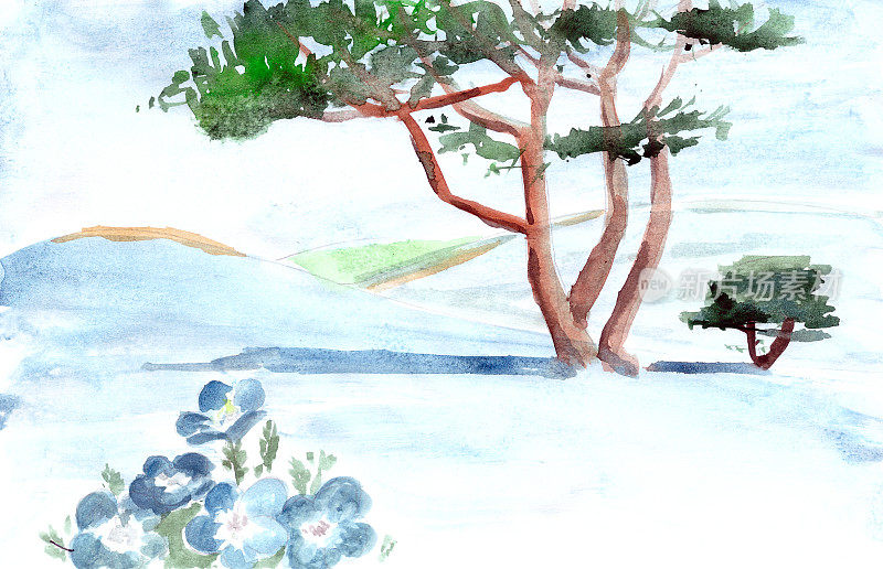 日立海滨公园三山上，水彩画盛开的丛林草或粉蝶花