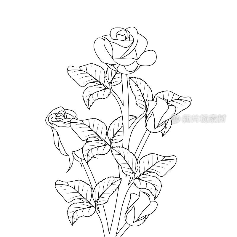 玫瑰花线艺术插图设计黑白着色页